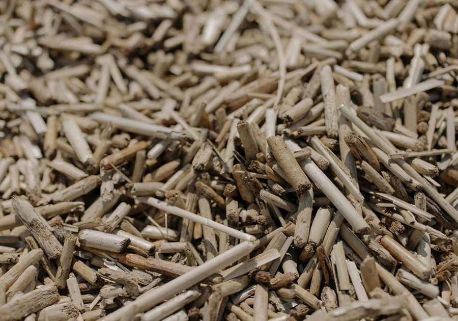 Biomass and Biofuels